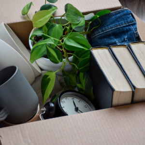 cardboard box containing books, plant, clock, mugs etc