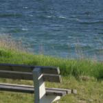 grass verge with bench overlooking the sea in the UK