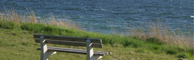 grass verge with bench overlooking the sea in the UK